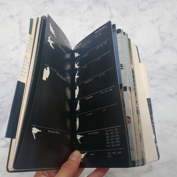 Vintage Bird Field Guide - Picture 10 of 13